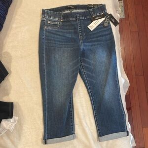 Liverpool Los Angeles eco Chloe pull-on crop skinny petite 12/31 in Fowler